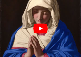 Vidéo Lire la vidéo